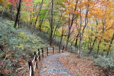 광양 백운산 등산로 정비, 등산객들 ‘큰 호응’