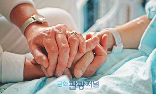 존엄사, 내년 1월 15일까지 시범 시행