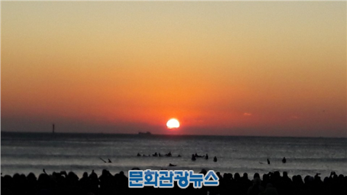 무술년 희망이 솟았습니다