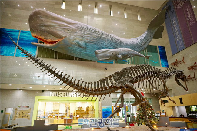 한국관광공사가 추천하는 2월에 가볼만한 곳