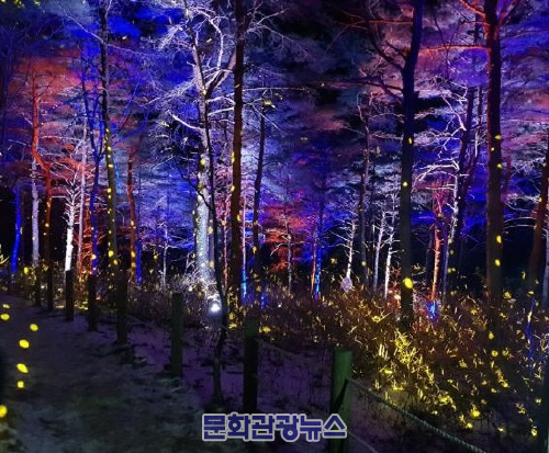 강원도 숲속이야기 청산별곡, 패럴림픽 기간에 재운영