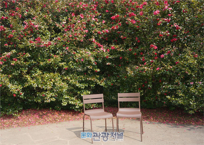 인터파크투어, 제주 여행상품 특가전 실시 ‘제주도로 가즈아~!!’