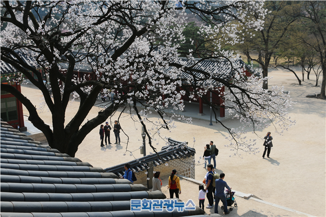 문화재청, 3월 30일~4월 5일 덕수궁 전각 내부 특별 공개