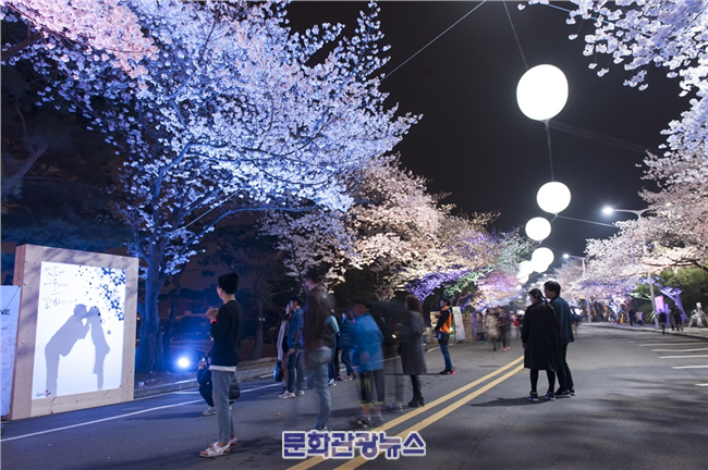 렛츠런파크 서울, 전시에 벚꽃축제까지.. 문화공간으로 거듭난 경마장