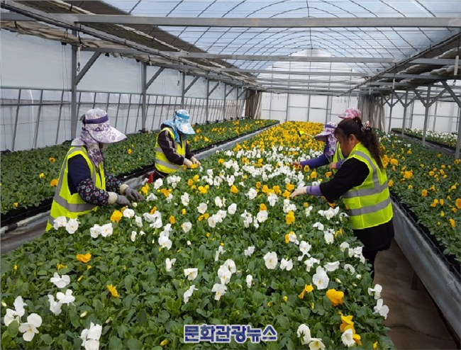 익산시, ‘꽃향기 가득한 품격 있는 익산 만들기’ 본격 추진
