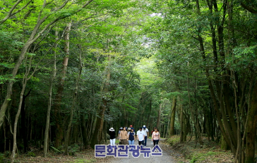 제주 서귀포시, 안전하고 쾌적한 명품 숲길 조성