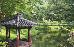 문화재청, 창경궁 입장 교통카드로