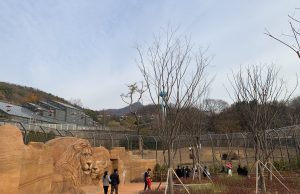 서울시, ‘서울대공원’ 아시아 동물원 최초 ‘국제기준(AZA)’ 인증 도전