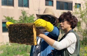서울시, 누구나 즐길 수 있는 ‘도시 양봉 교실’