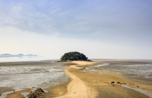 한국관광공사 2019년 6월 추천 가 볼 만한 곳