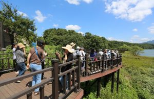 대전시, 대청호 생태테마 투어 프로그램 운영