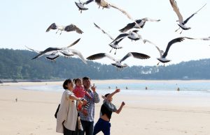태안군, 만리포해수욕장 조기개장