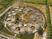 강아지, 고양이 키우기만 해도 세금이?