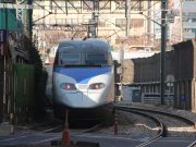 신종코로나 확산으로 지역 문화 비상