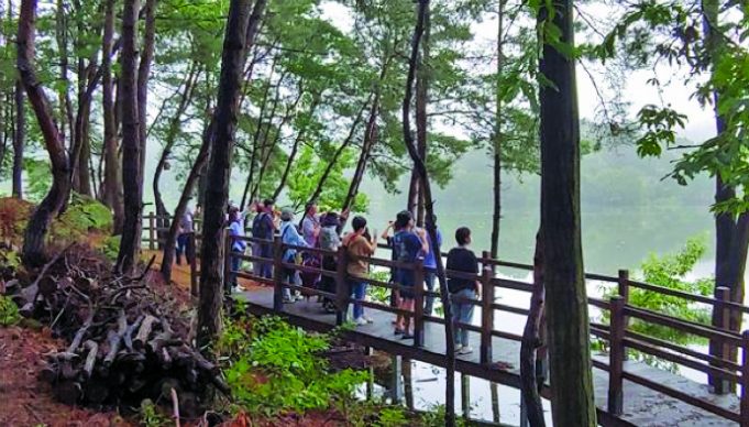 대전만의 향기·색·감동을 찾아 떠나요~