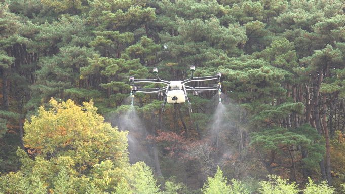 미국선녀벌레 피해지 드론항공방제로 대응한다.