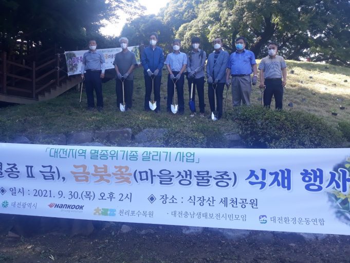 대전시, 멸종위기종‘솔붓꽃 ㆍ 금붓꽃’복원 나섰다