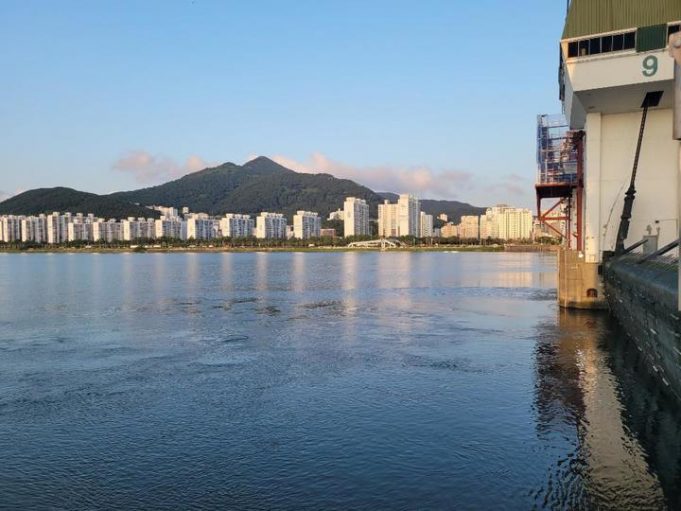 생태소통 효과 확인, 낙동강 하굿둑 4차 개방