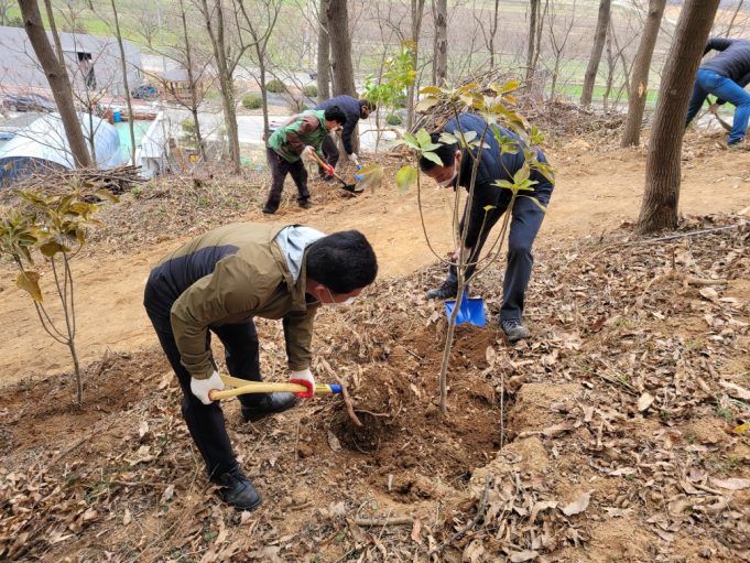 함평군 대동면, 식목일 기념 ‘편백 힐링숲’ 나무심기 행사 성료