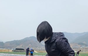 함양군4-H연합회 감자 공동학습포 운영시작!