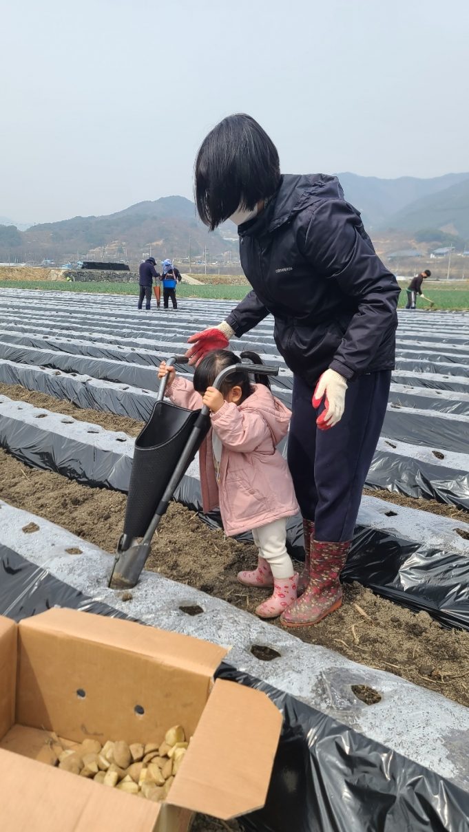 함양군4-H연합회 감자 공동학습포 운영시작!