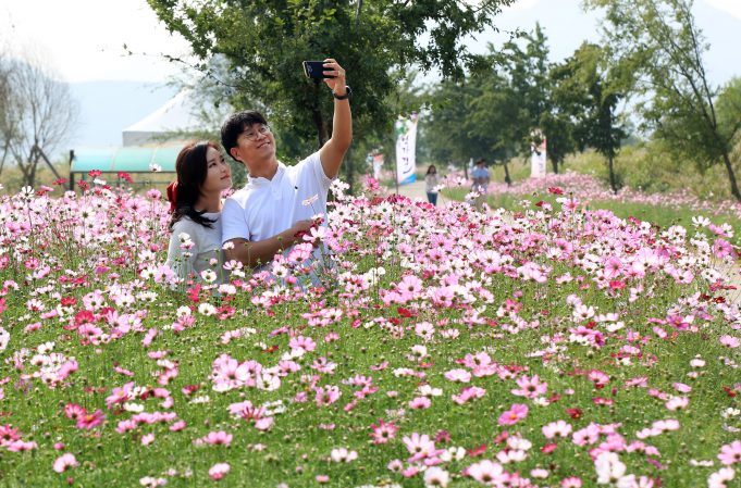 오감만족 힐링축제장, 초동연가길을 만끽해요.