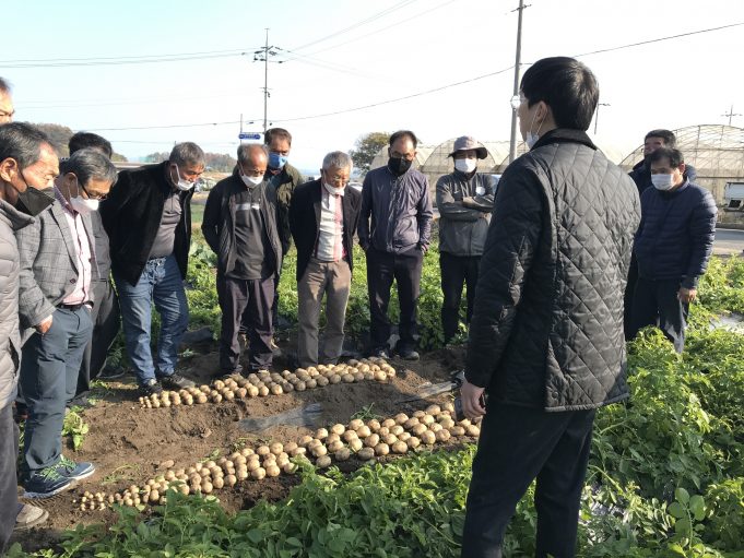 보성군, 신품종 감자 확대 보급 평가회 개최