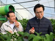 논산시, 정황근 농림축산식품부 장관 딸기 재배 현장 시찰