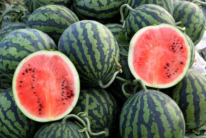 함안군, 함안수박 올해 첫 홍콩 수출