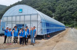 의령군, 노인일자리 활용 수직정원 보급사업 시행