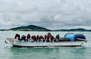 무안군, 현경면 홀통해역에 어린 낙지 1만 마리 방류