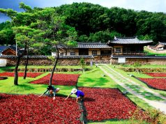 영양군, 지속 가능한 농업과 부자 농촌 실현에 박차