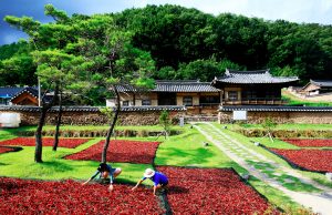 영양군, 지속 가능한 농업과 부자 농촌 실현에 박차