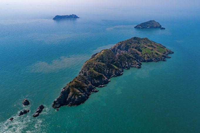 태안군, ‘주꾸미 산란장 조성’·‘바다숲 조성’ 공모 나란히 선정