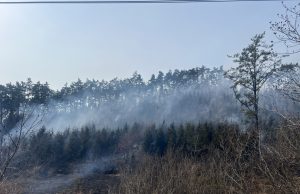 태안군, 봄철 산불조심기간 운영…드론·전문인력 투입해 감시 강화
