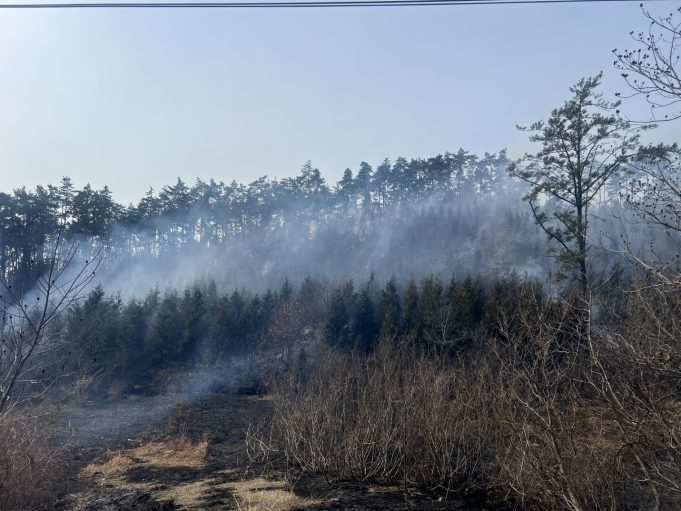 태안군, 봄철 산불조심기간 운영…드론·전문인력 투입해 감시 강화