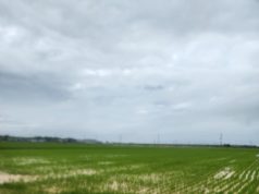 태안군, 농경지 배수개선·방조제 개보수 사업비 209억 원 확보