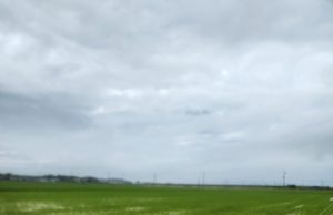 태안군, 농경지 배수개선·방조제 개보수 사업비 209억 원 확보