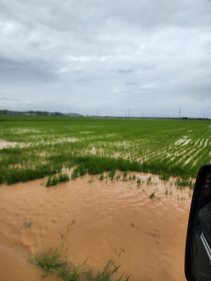 태안군, 농경지 배수개선·방조제 개보수 사업비 209억 원 확보