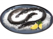 해수부, 설 앞두고 민물장어 원산지 단속