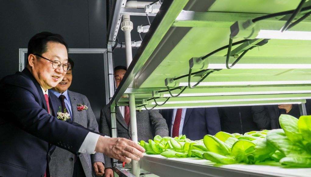 전국 첫 폐지하보도 스마트팜 ‘대전팜’ 문 열어