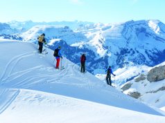 도시 감성과 겨울 산의 매력을 동시에 누리는 스위스 여행