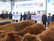 함양군, 우량 암소 나눔으로 한우 개량 박차