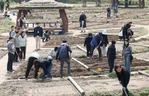 도심 속 텃밭 문 열렸다…대전 행복농장 개장