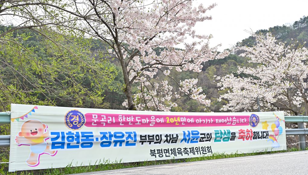 정선 문곡리, 20년 만에 아기 울음