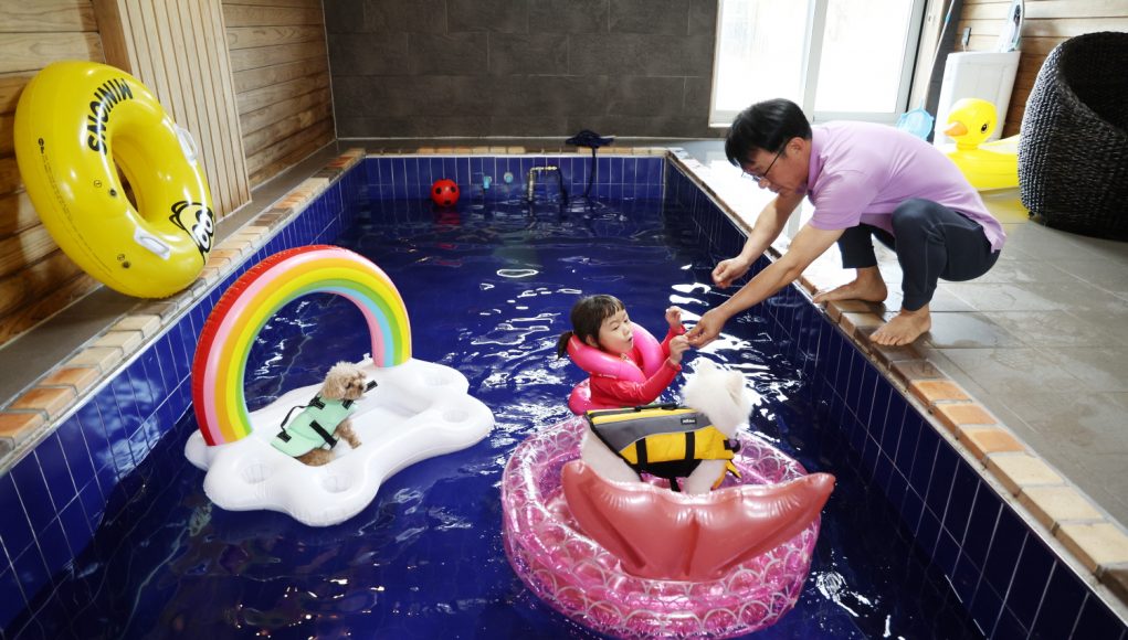 “반려동물과 태안으로”…최대 3만 원 숙박 할인 기획전 시작