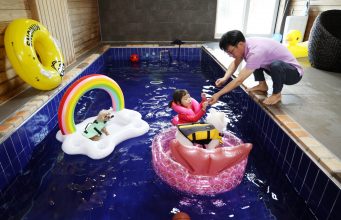 “반려동물과 태안으로”…최대 3만 원 숙박 할인 기획전 시작