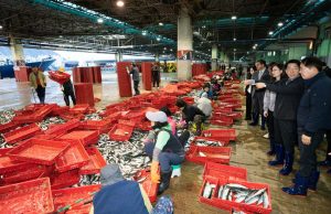 해수부 장관, 부산공동어시장 찾아 현장 점검…수산업계와 간담회