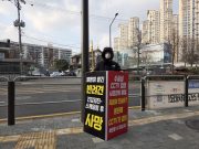 “왜 죽었는지 알 수 없었습니다”… 반려견 사망 후 시작된 1인 시위, 동물병원 CCTV 의무화 요구 확산