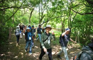 DMZ 평화의 길에 1,000명 발걸음 모인다… 양구서 특별한 걷기 여행